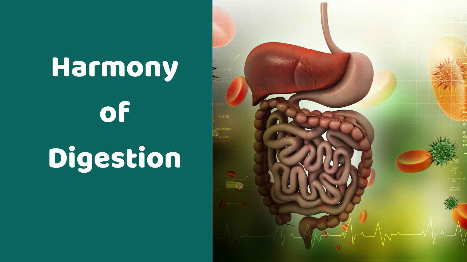 Harmony of Digestion