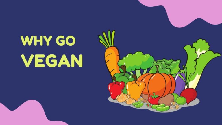 why go vegan