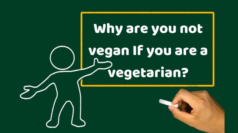 Why are you not vegan If you are a vegetarian?
