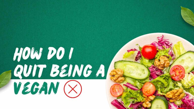 How do I quit being a vegan