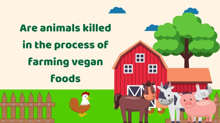 Are animals killed in the process of farming vegan foods