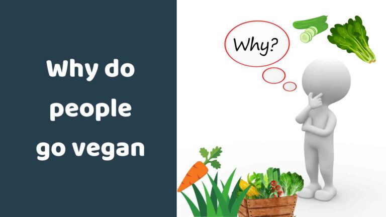 Why do people go vegan