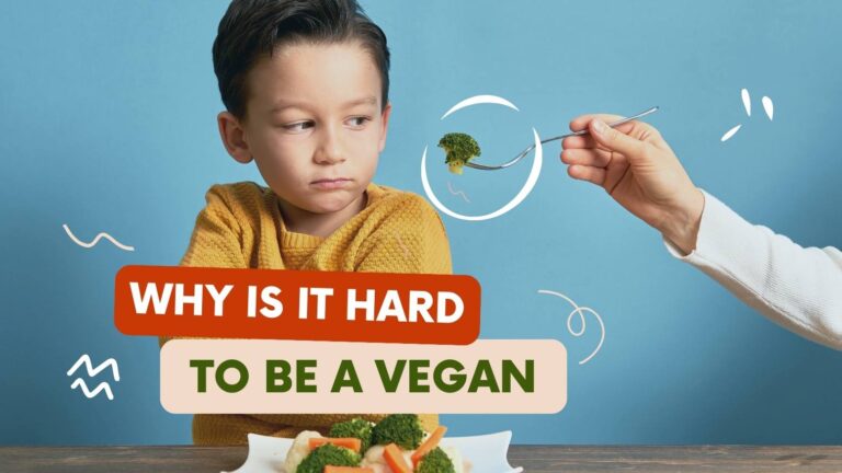 Why is it hard to be a vegan