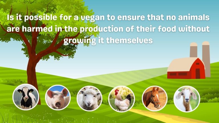 Is it possible for a vegan to ensure that no animals are harmed in the production of their food without growing it themselves