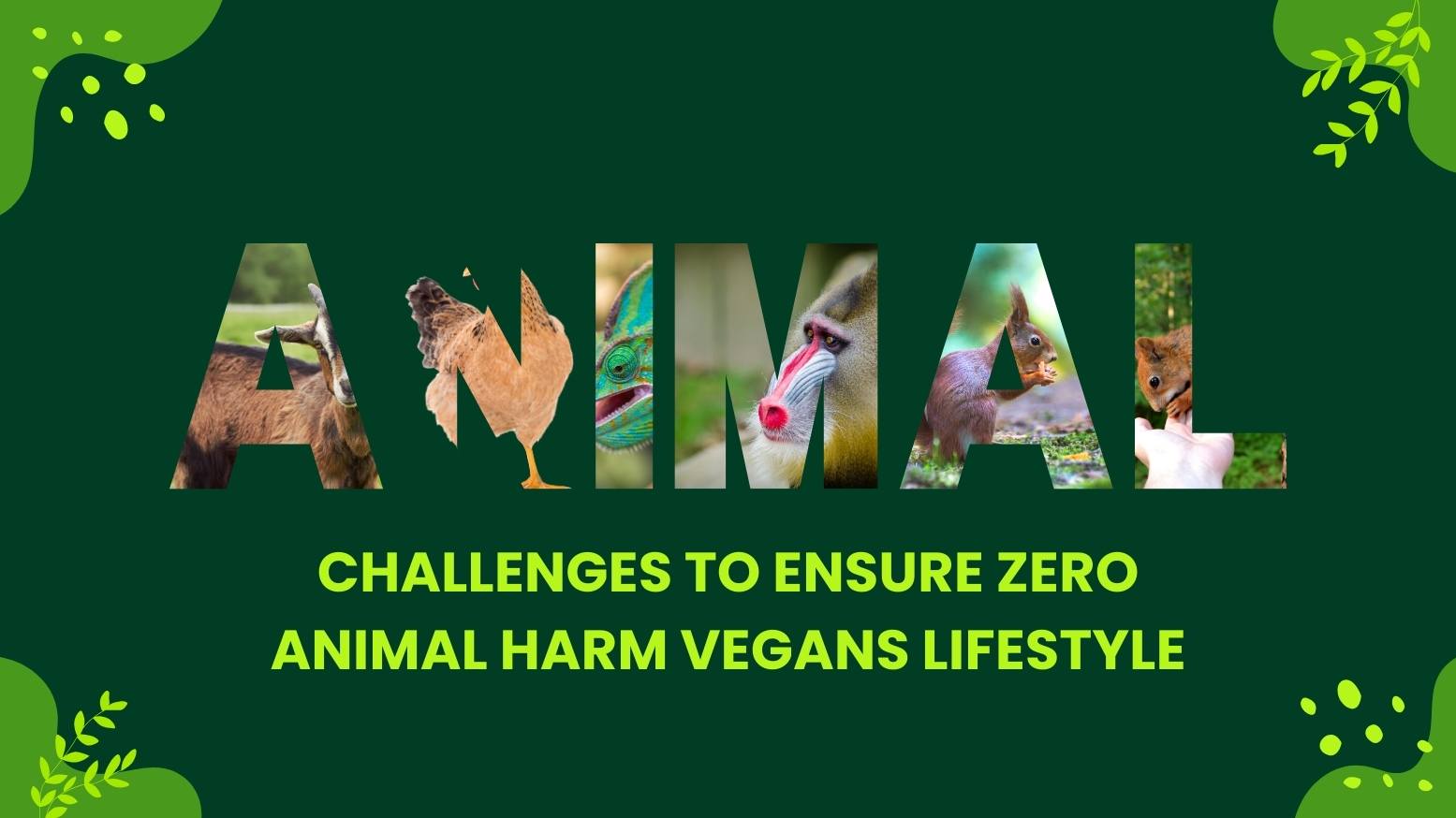 Challenges to Ensure Zero Animal Harm Vegans lifestyle