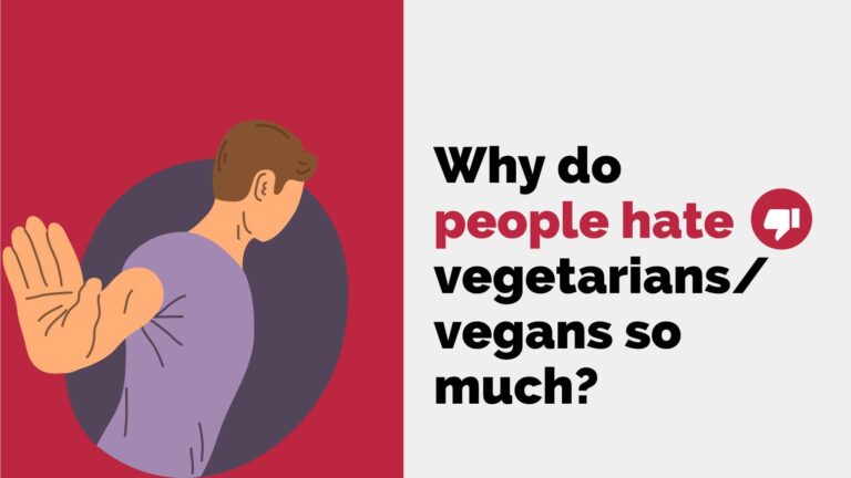 Why do people hate vegetarians/vegans so much