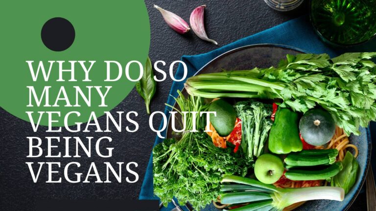 Why do so many vegans quit being vegans