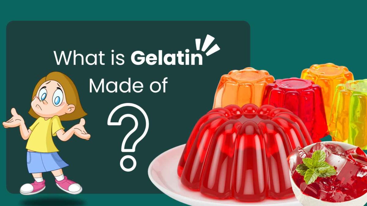 gelatin made of