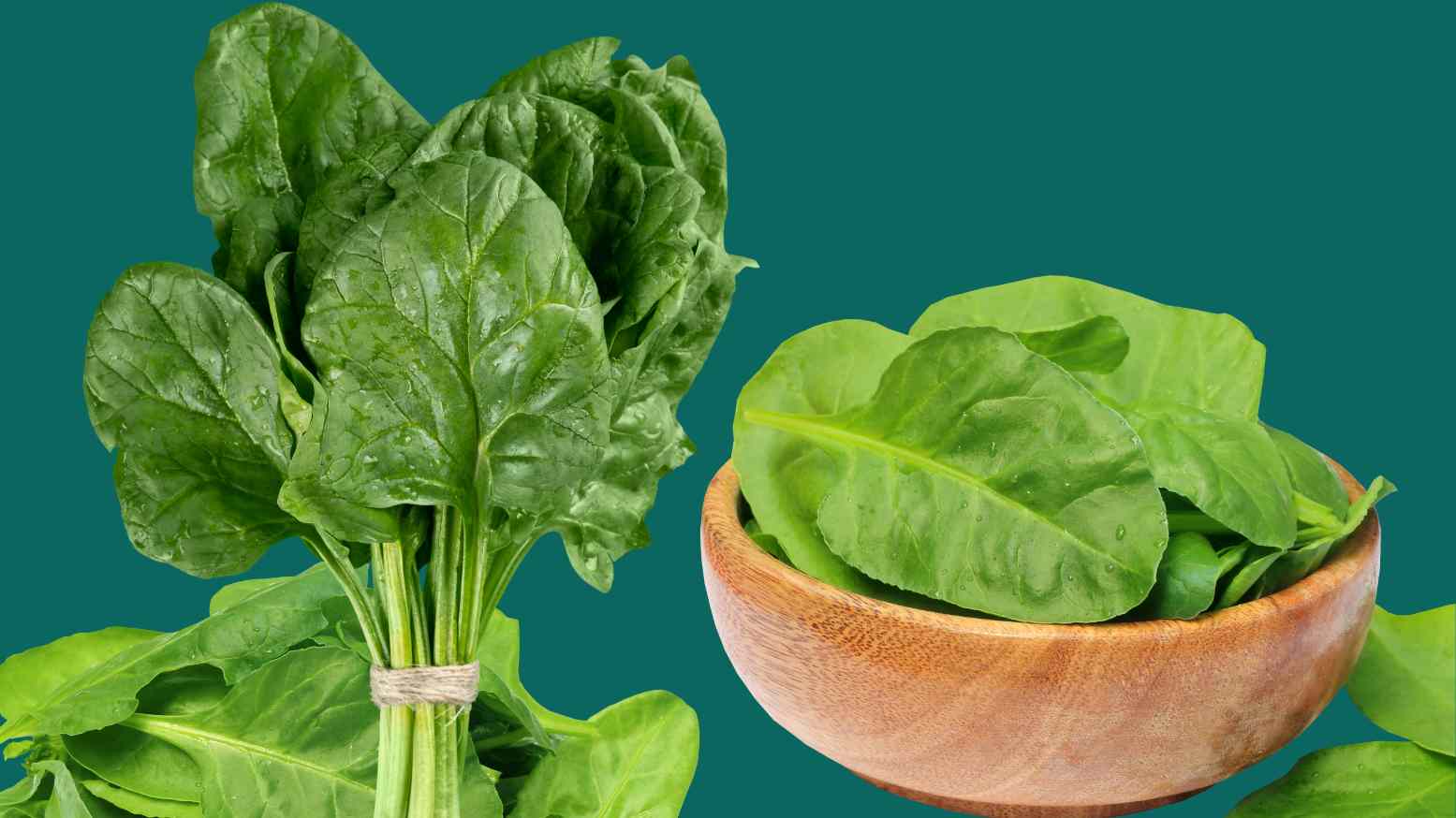 an image of Spinach
